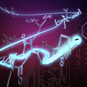 Organic Transistor