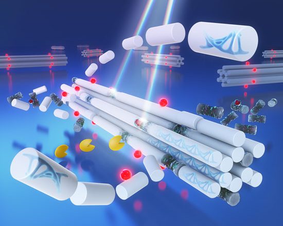 Artificial DNA nanoruler that autonomously repairs defects by light and enzymes