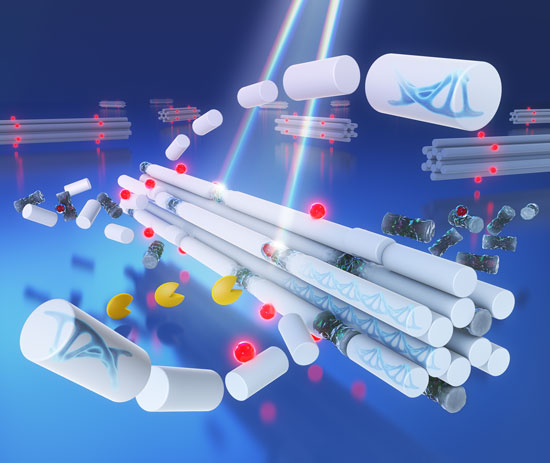 Artificial DNA nanoruler that autonomously repairs defects by light and enzymes