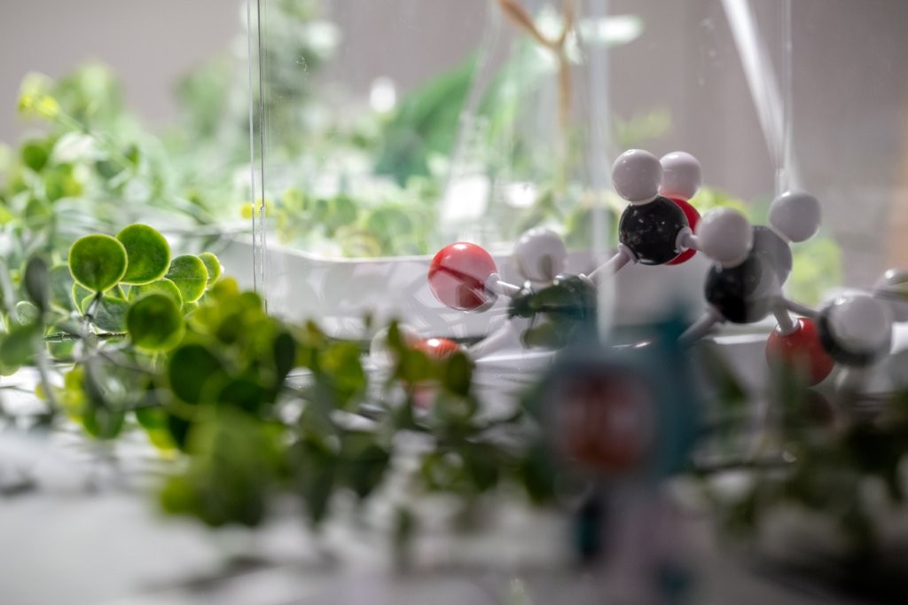 20251017_Escape_from_Carbonia_AE-421